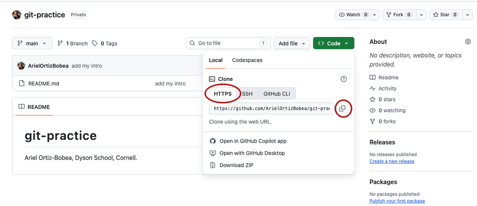 The green Code button open on the git-practice repository's front page, with the HTTPS tab and the copy icon beside the .git address circled in red.