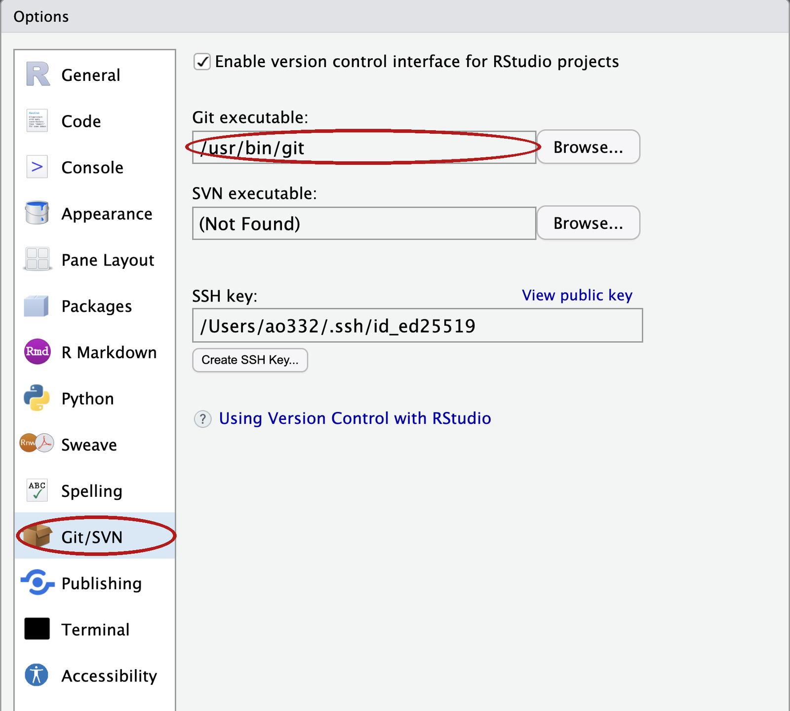 RStudio's Global Options window on the Git/SVN page, with the Git executable box showing a path and circled in red.
